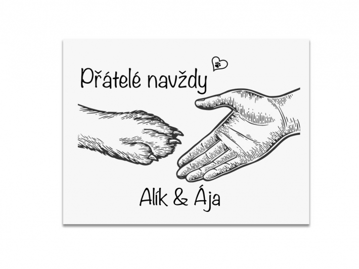 Plechová destička - Přátelé