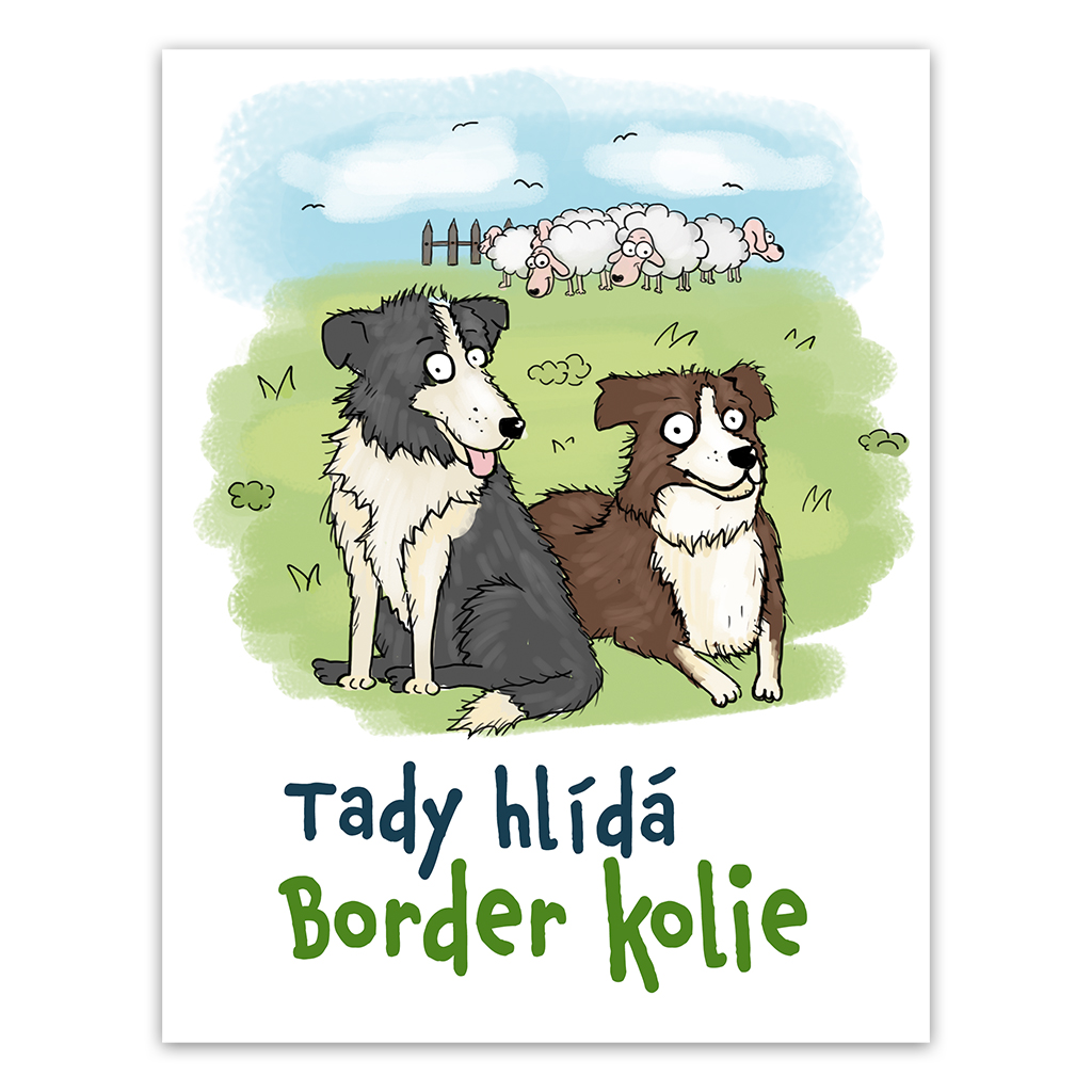 Plechová cedulka Tady hlídá Border kolie