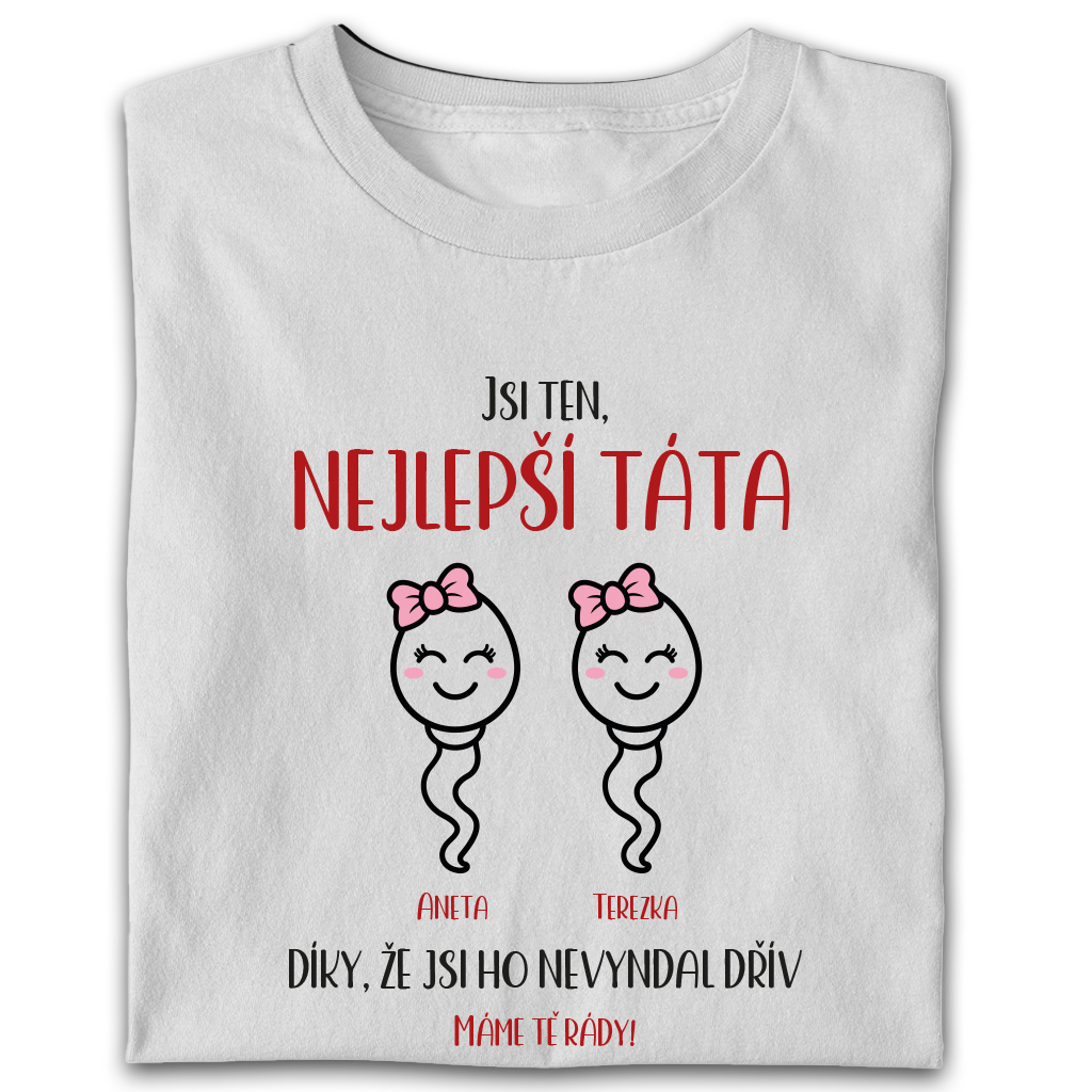 Pánské tričko - Nejlepší táta (dvě holky)