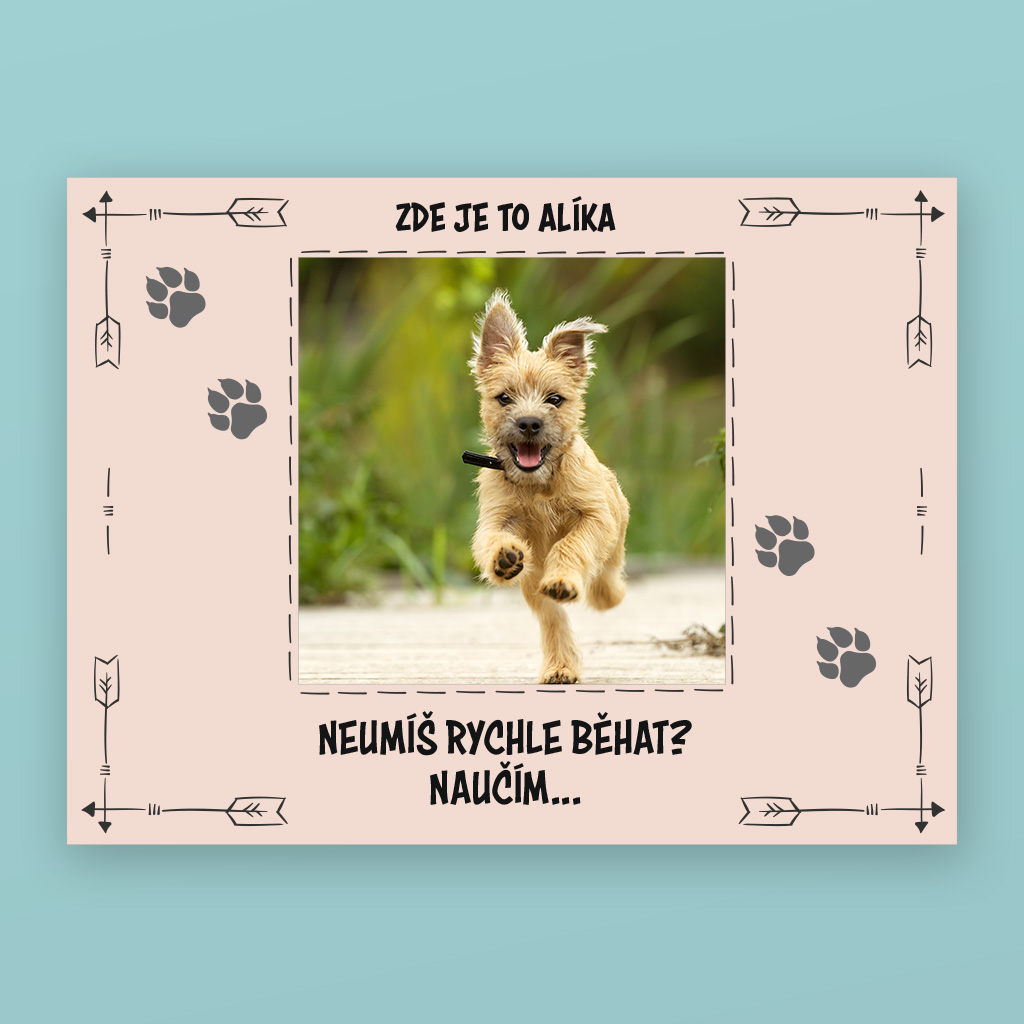 Plechová destička - Neumíš rychle běhat?