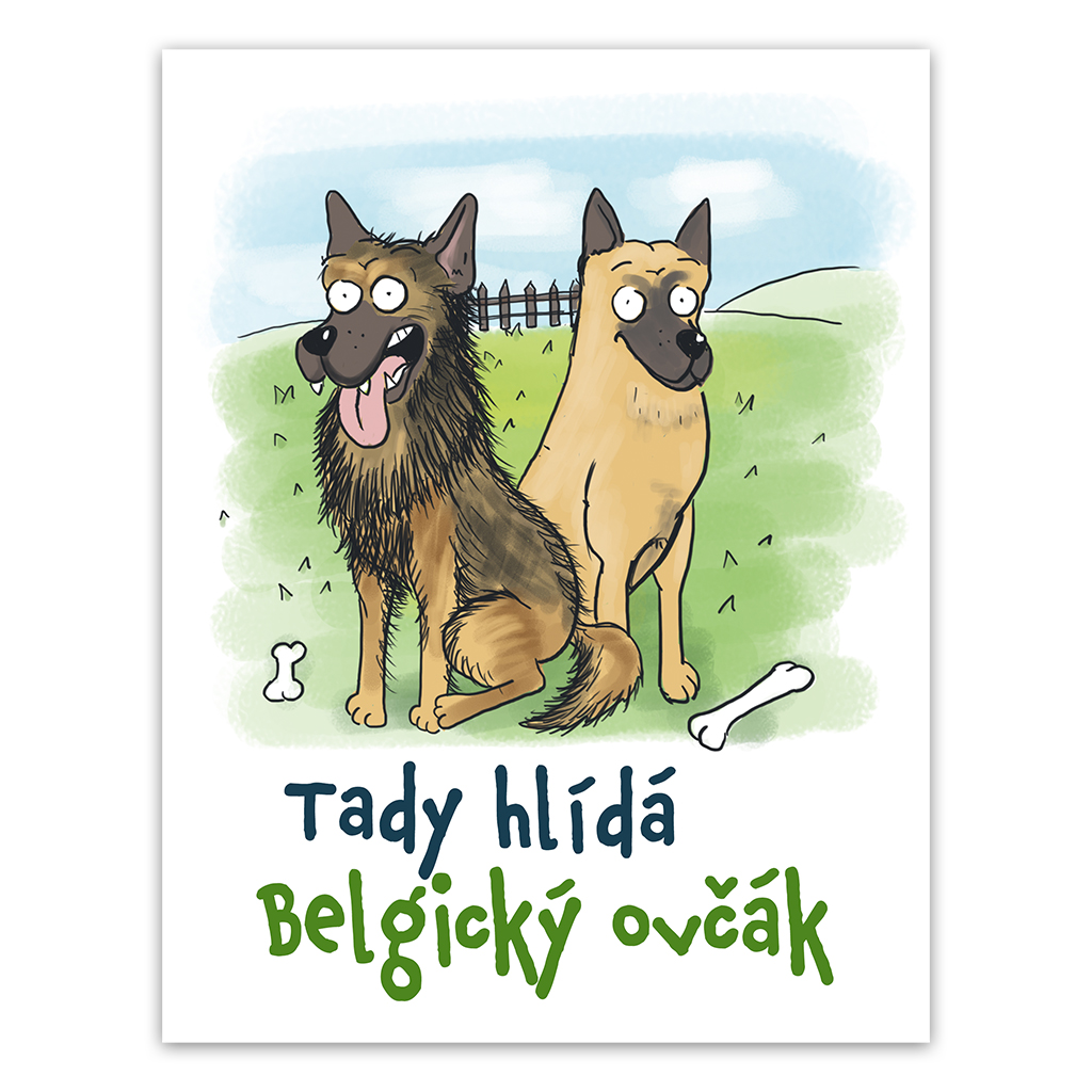 Plechová cedulka Tady hlídá Belgický ovčák