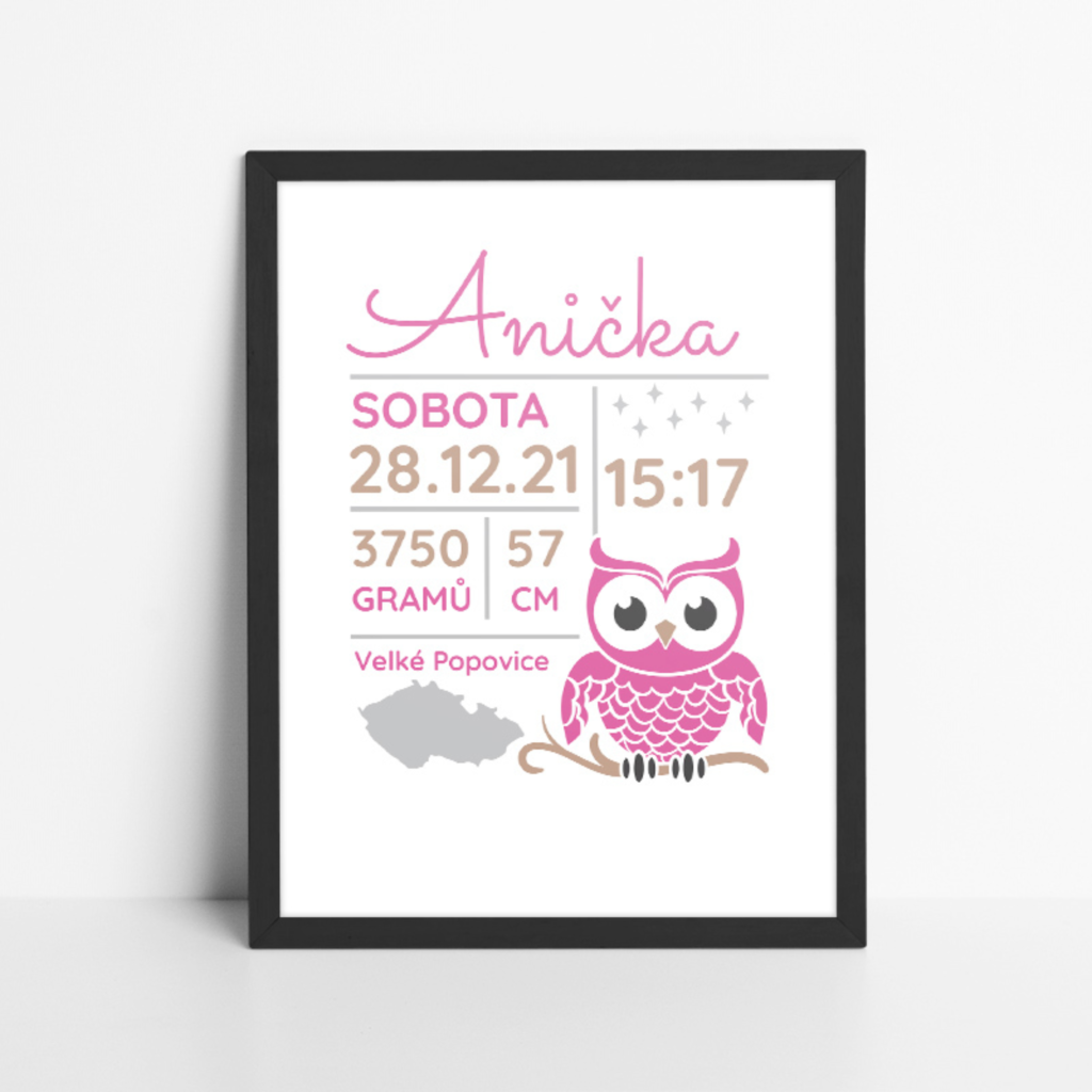 Obraz k narození miminka - Sovička
