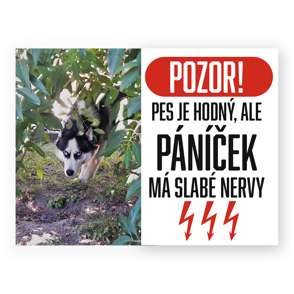 Plechová destička - Páníček má slabé nervy